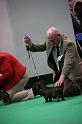 Crufts2011_2 1184